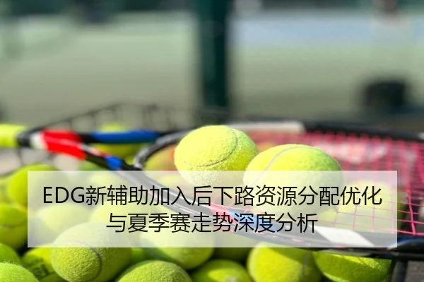 EDG新辅助加入后下路资源分配优化与夏季赛走势深度分析
