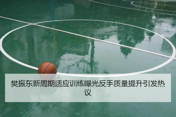 樊振东新周期适应训练曝光反手质量提升引发热议